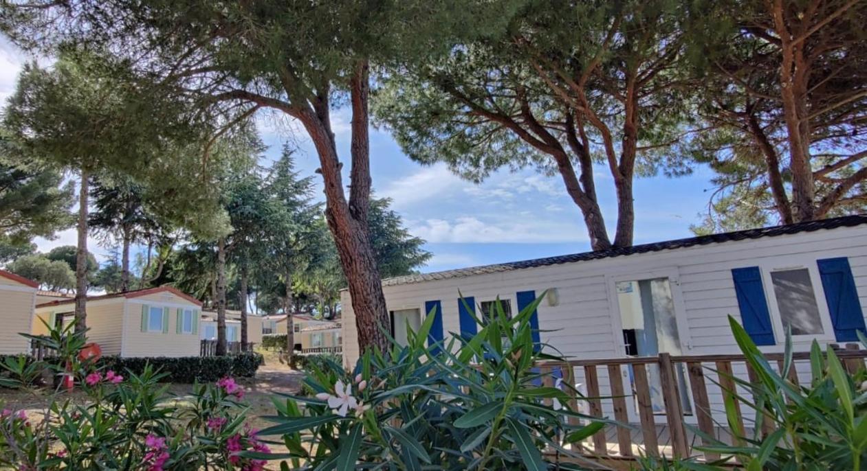 Domaine Résidentiel de Plein Air Odalys La Pinède Agde Esterno foto