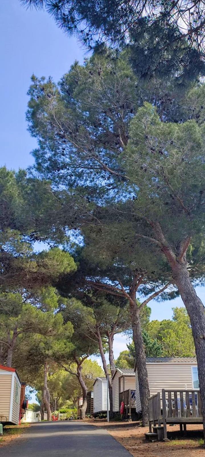 Domaine Résidentiel de Plein Air Odalys La Pinède Agde Esterno foto