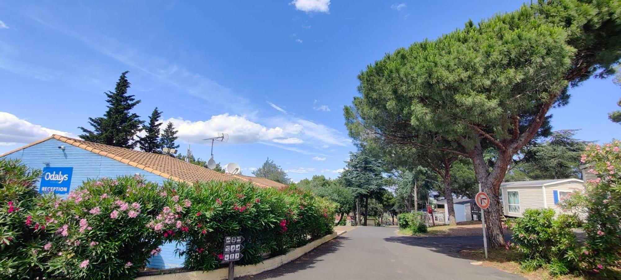Domaine Résidentiel de Plein Air Odalys La Pinède Agde Esterno foto